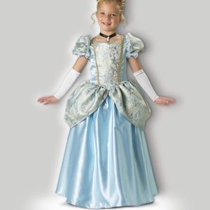 Enchanting princess incharacter costume